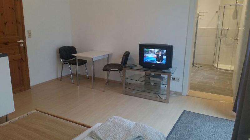 1 room granny apartment in Stuttgart-Obertürkheim Exposé S008